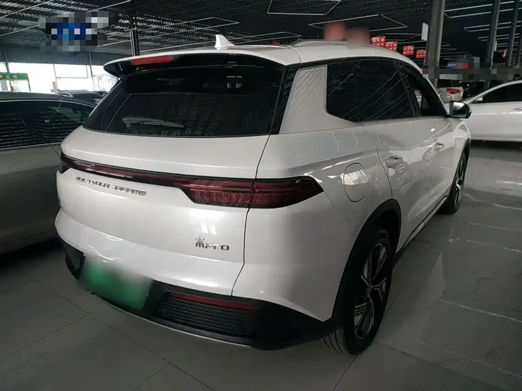 BYD Pro New Energy — фото 6