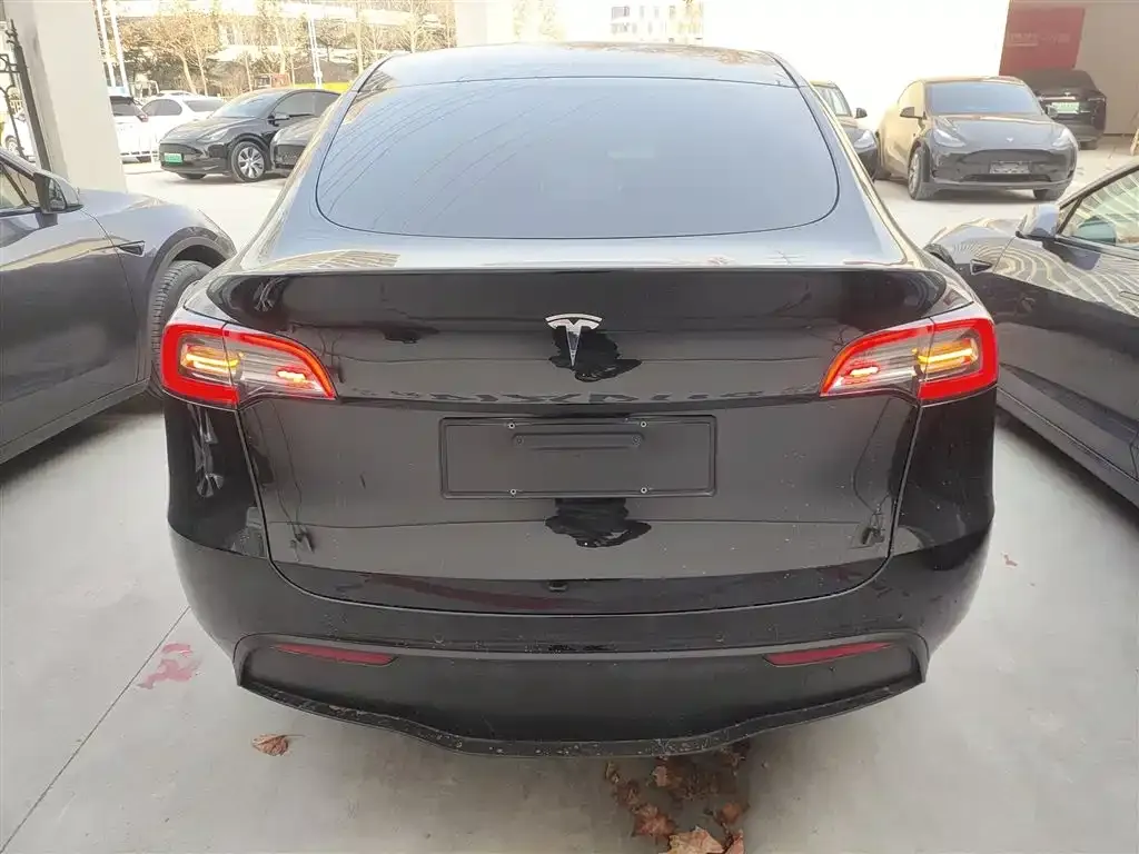 Tesla Model Y — фото 2