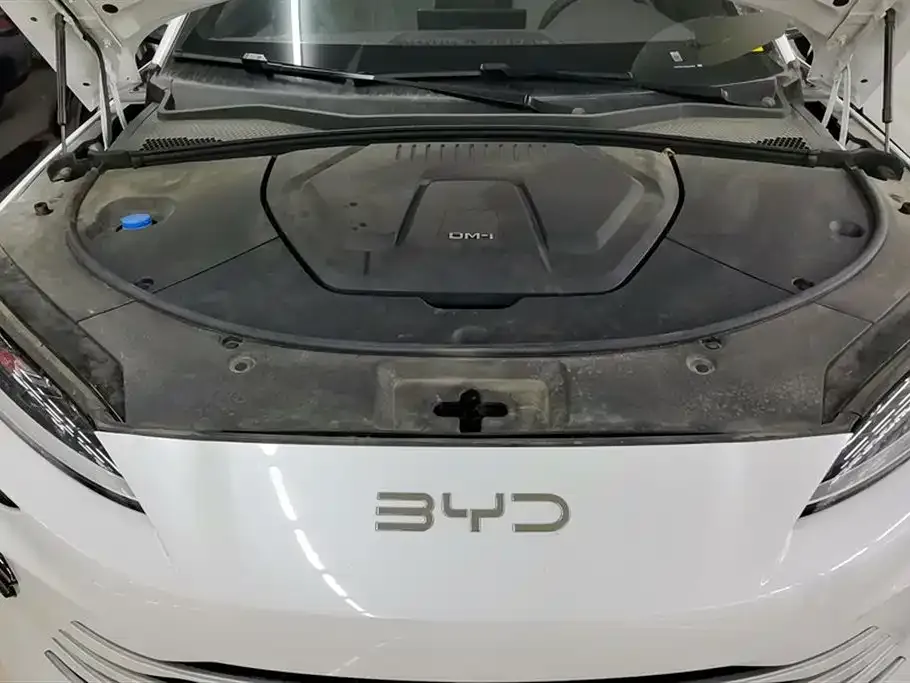 BYD PLUS New Energy — фото 4