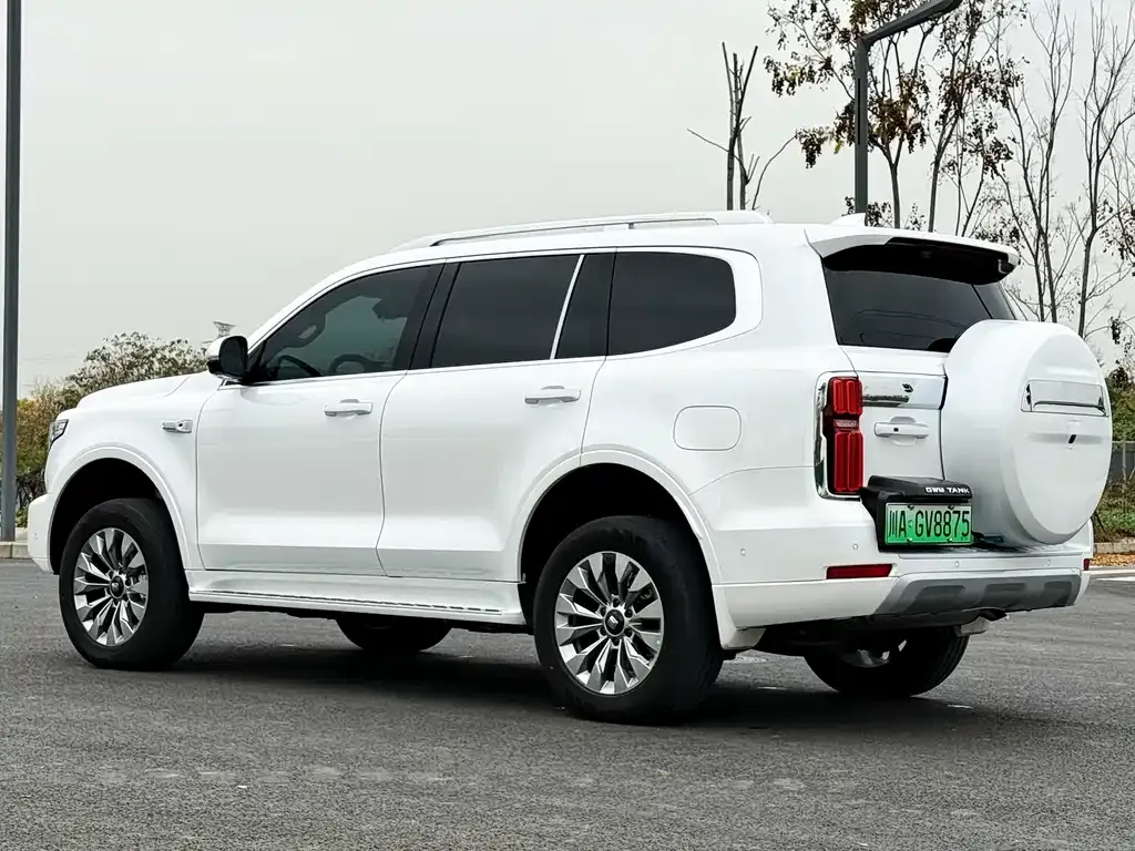Tank 500 New Energy 2025 из CN, фото 8