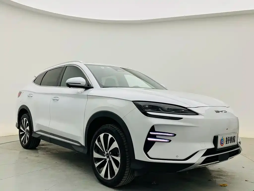BYD PLUS New Energy — фото 2