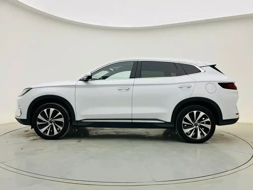 BYD PLUS New Energy — фото 3