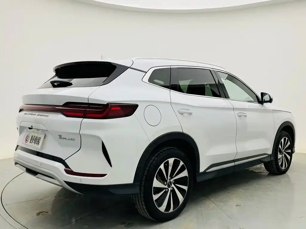 BYD PLUS New Energy — фото 6