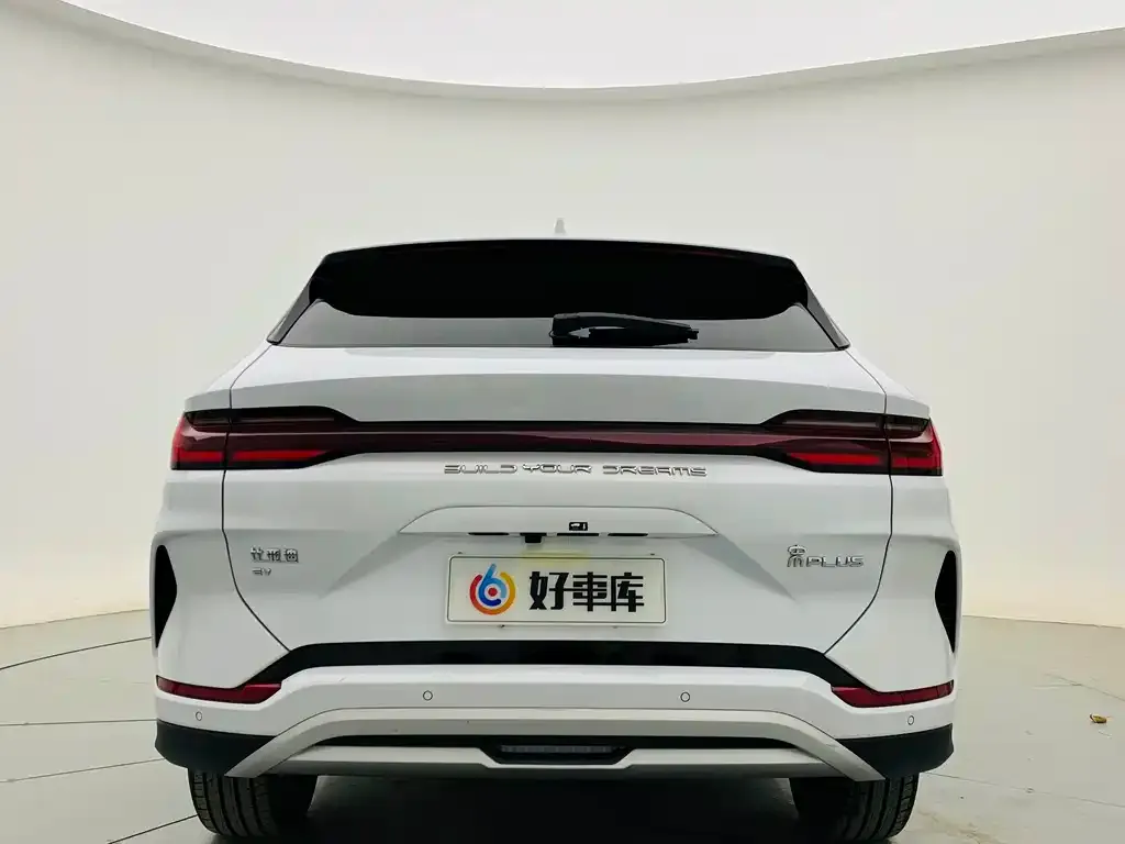 BYD PLUS New Energy — фото 4