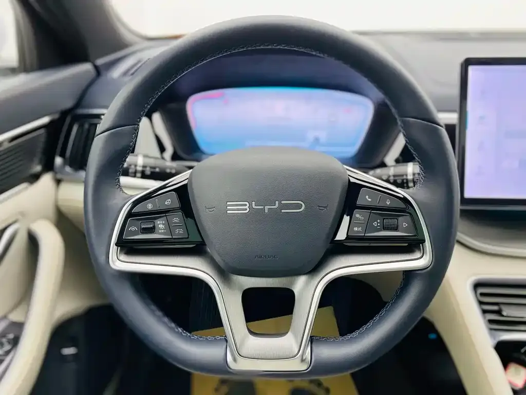 BYD PLUS New Energy — фото 10