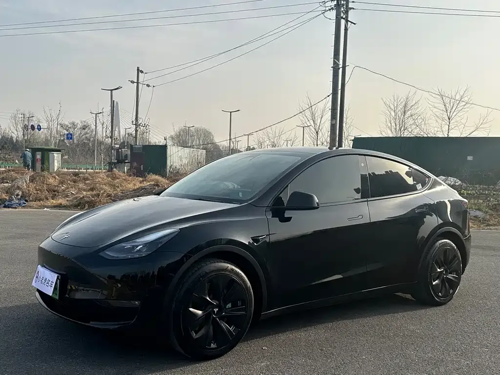 Tesla Model Y — фото 1