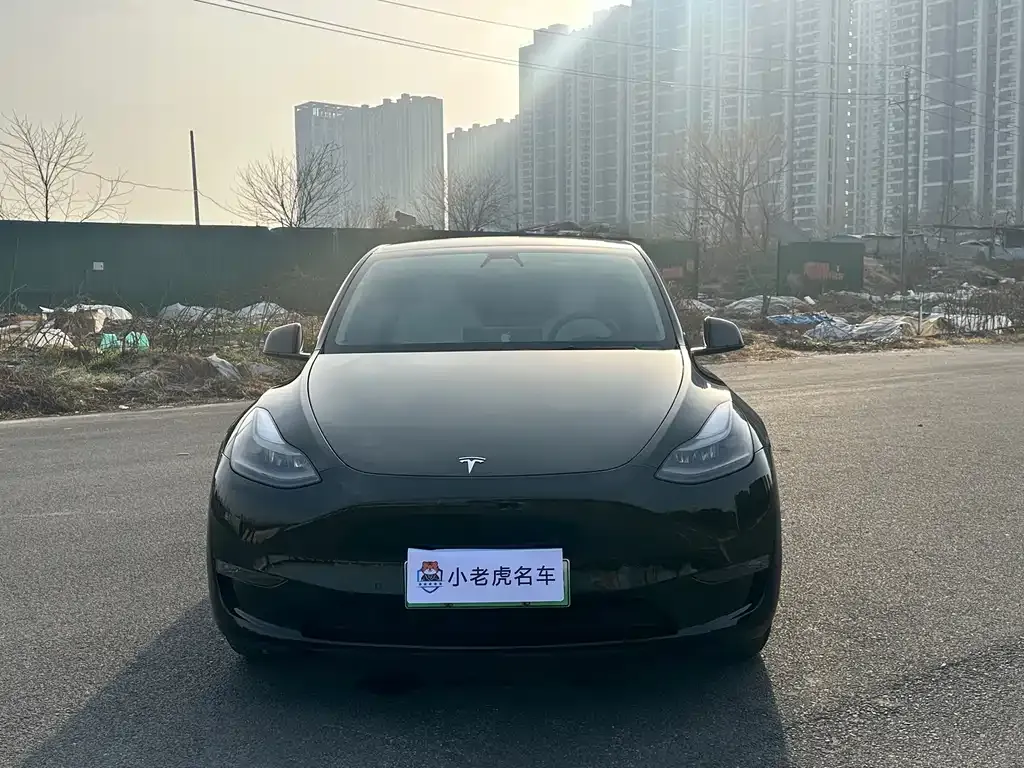 Tesla Model Y — фото 6