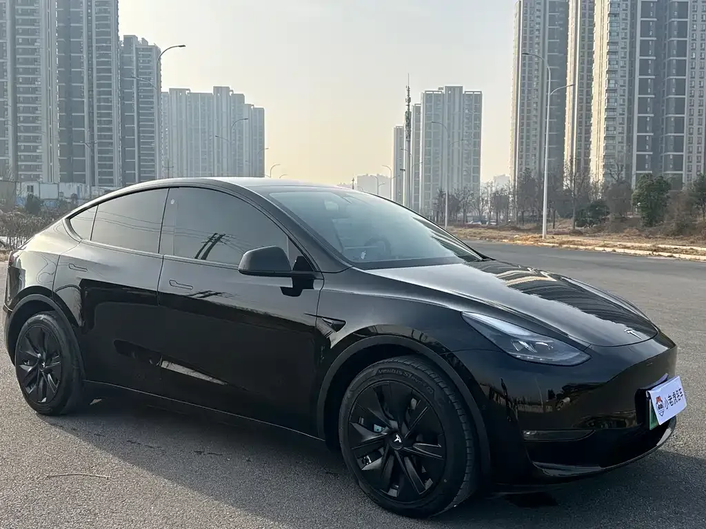 Tesla Model Y — фото 5
