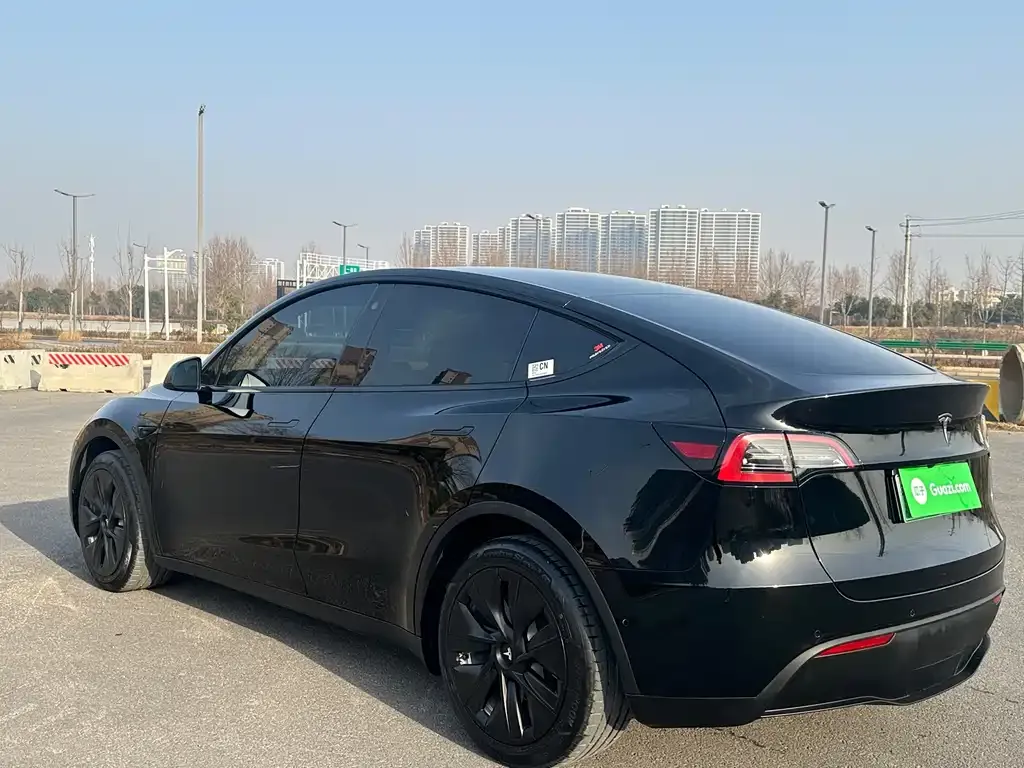 Tesla Model Y — фото 9