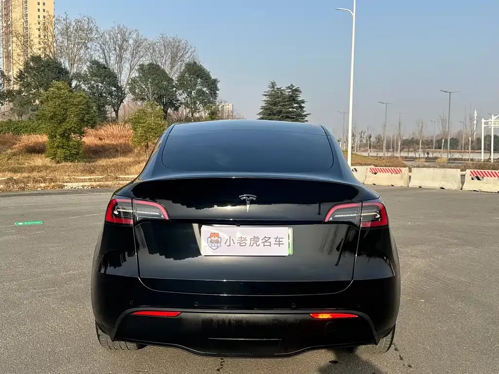 Tesla Model Y — фото 10
