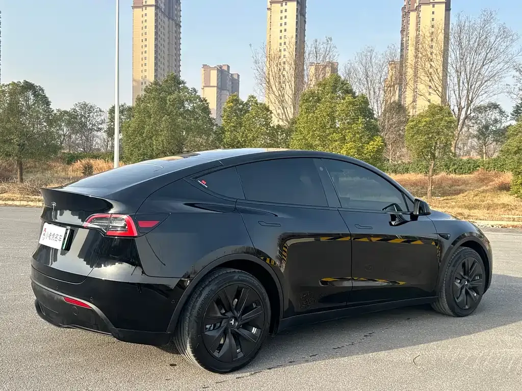 Tesla Model Y — фото 8