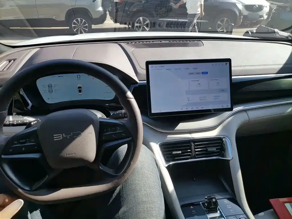 BYD PLUS New Energy 2025 из CN, фото 10