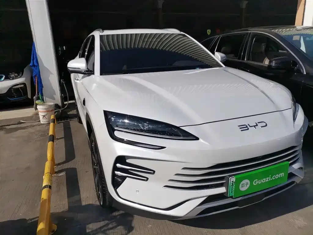 BYD PLUS New Energy 2025 из CN, фото 4