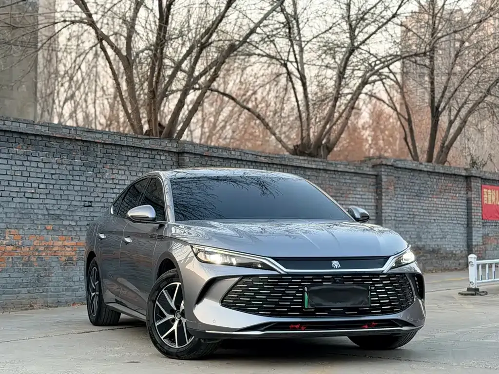 BYD Qin L 2024 из CN, фото 2