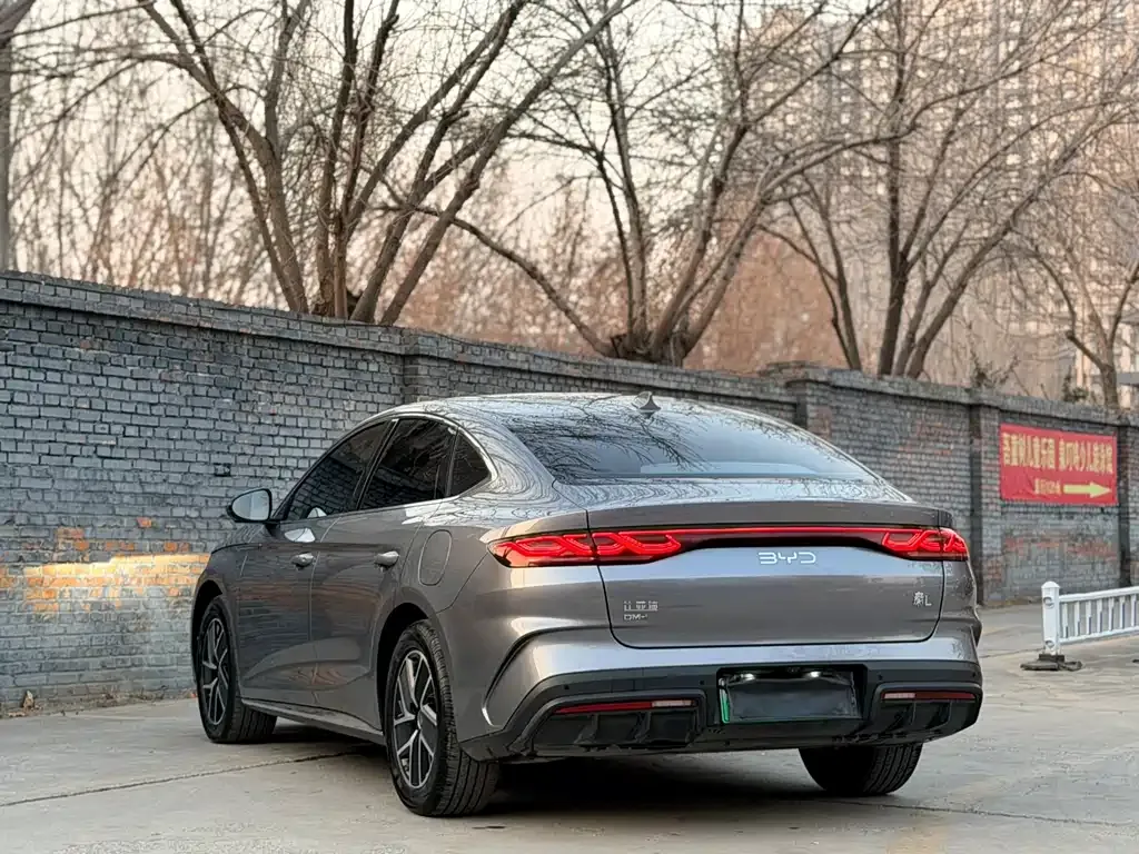 BYD Qin L 2024 из CN, фото 10