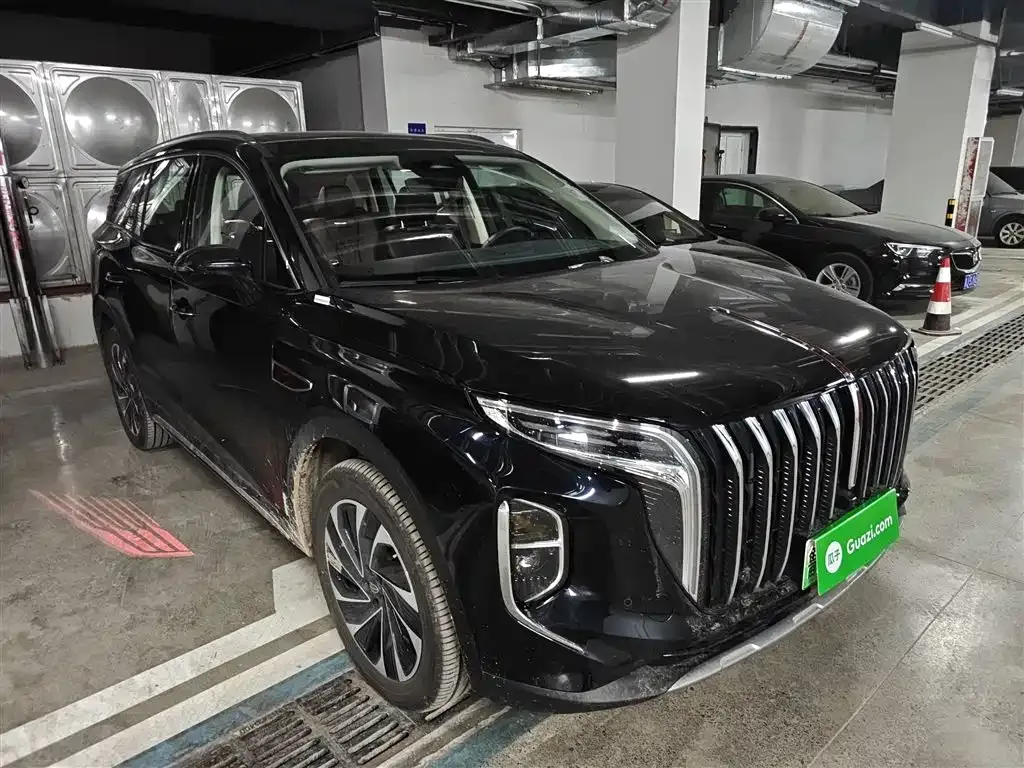 Hongqi HS7 PHEV 2025 из CN, фото 10