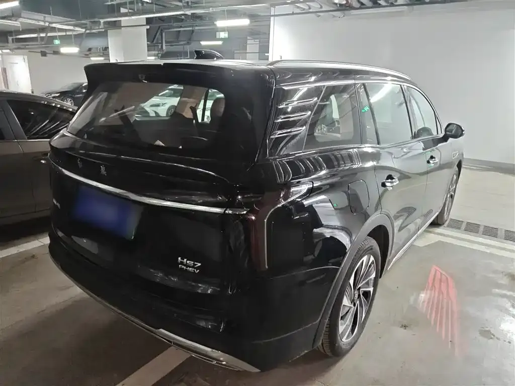 Hongqi HS7 PHEV 2025 из CN, фото 8
