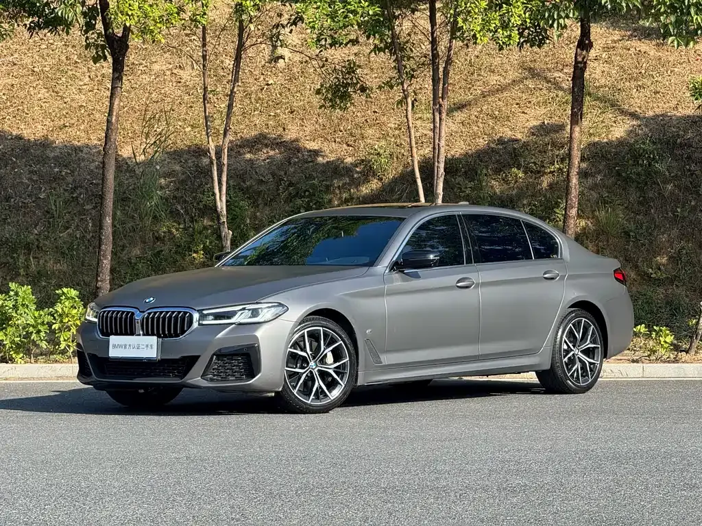 BMW 5 Series 2023 из CN, фото 1