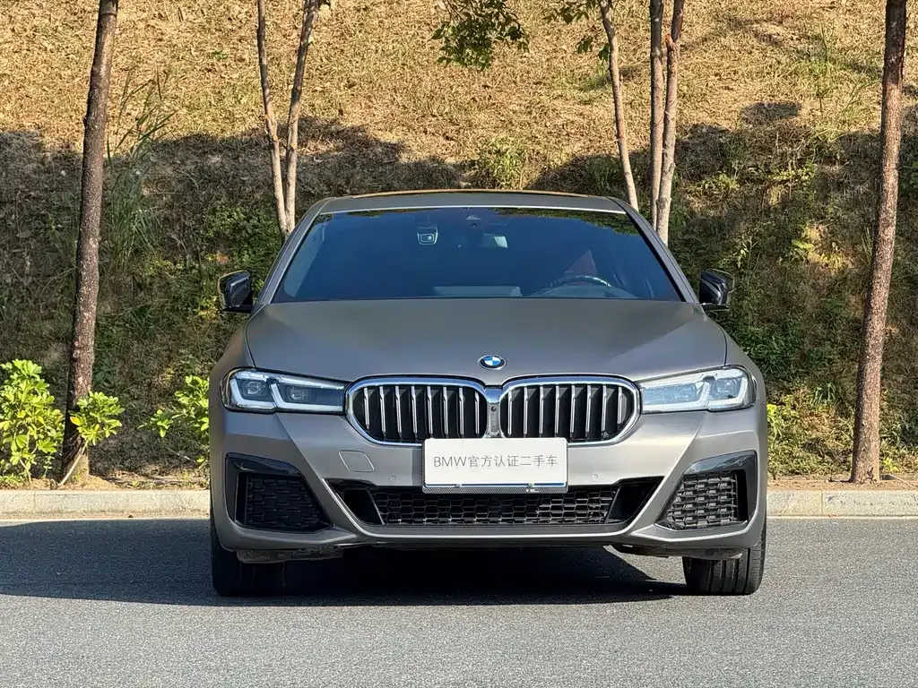 BMW 5 Series 2023 из CN, фото 10