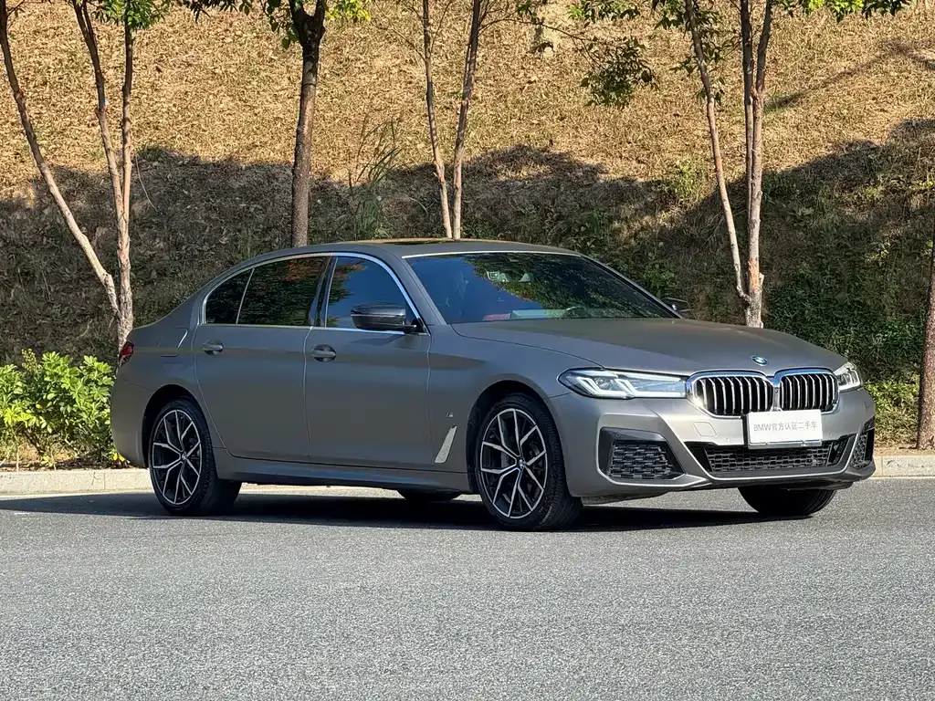 BMW 5 Series 2023 из CN, фото 5