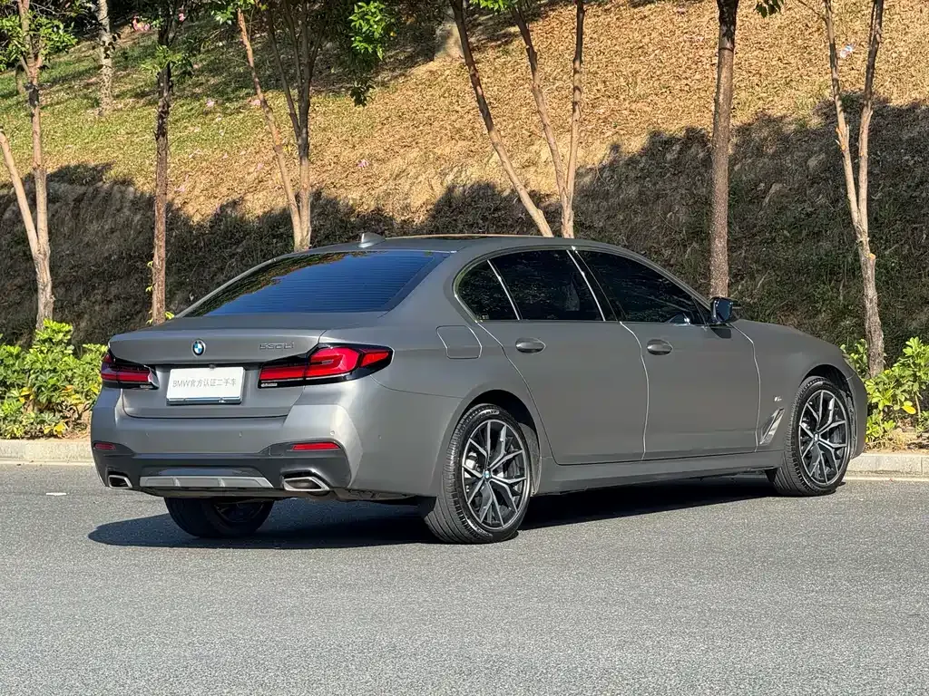 BMW 5 Series 2023 из CN, фото 9