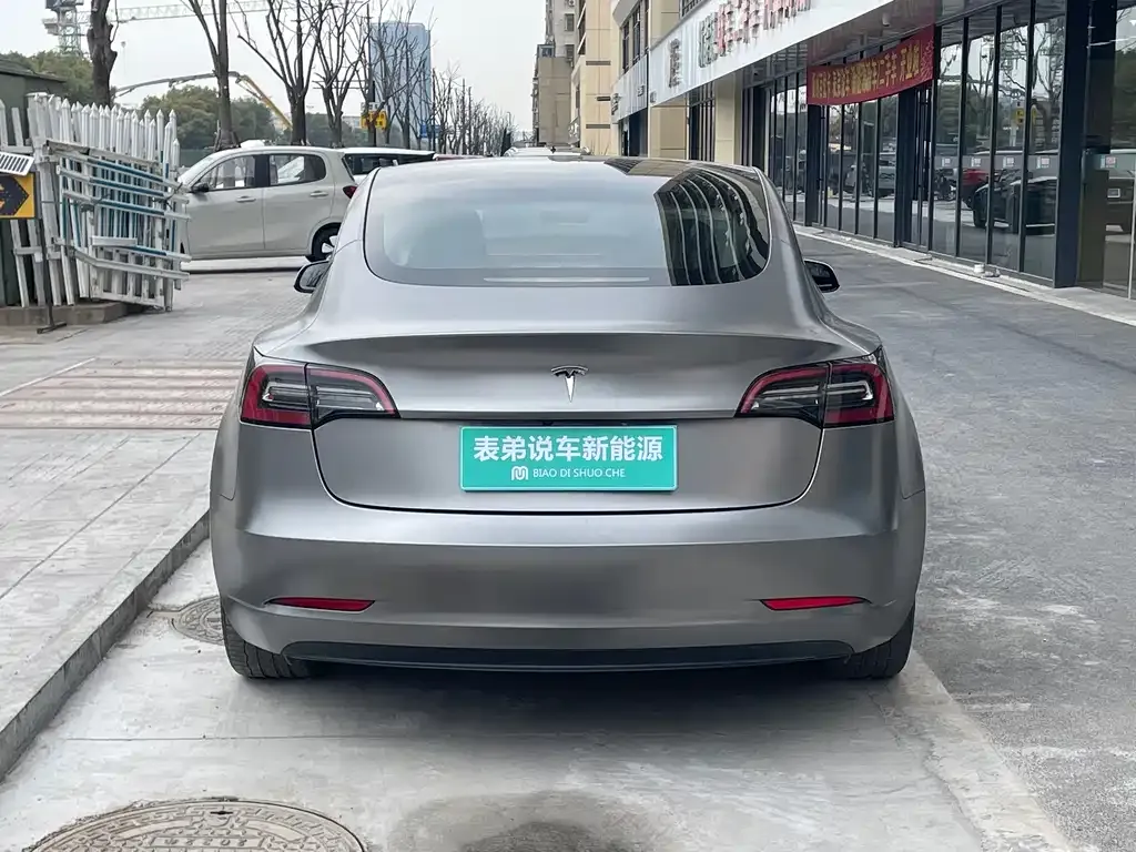 Tesla Model 3 2021 из CN, фото 6