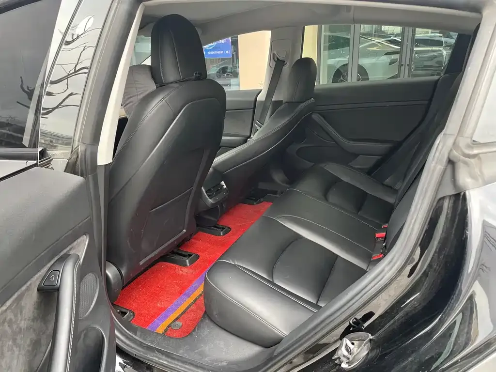 Tesla Model 3 2021 из CN, фото 4