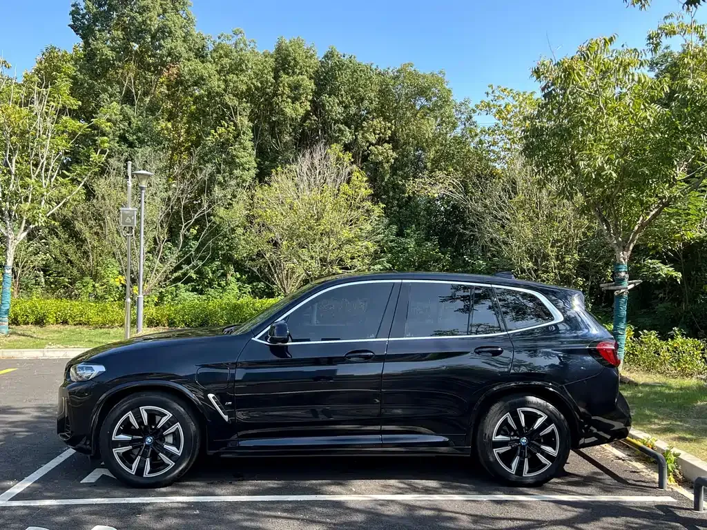 [object Object] iX3 2024 из CN, фото 4