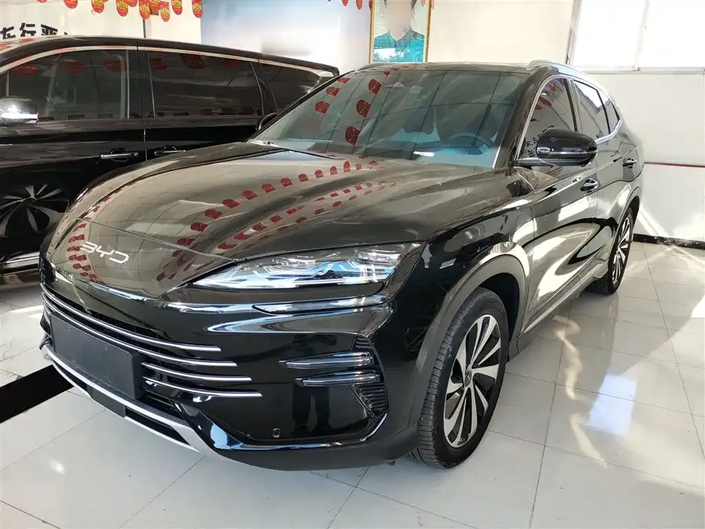BYD PLUS New Energy 2024 из CN, фото 1