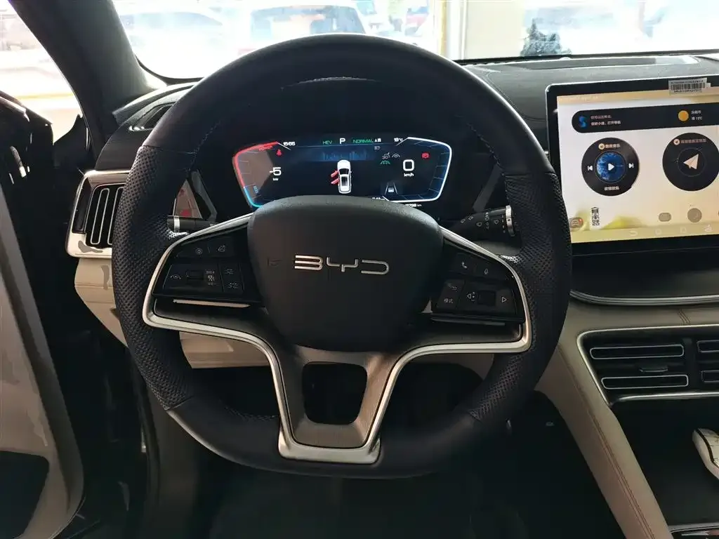 BYD PLUS New Energy 2024 из CN, фото 2