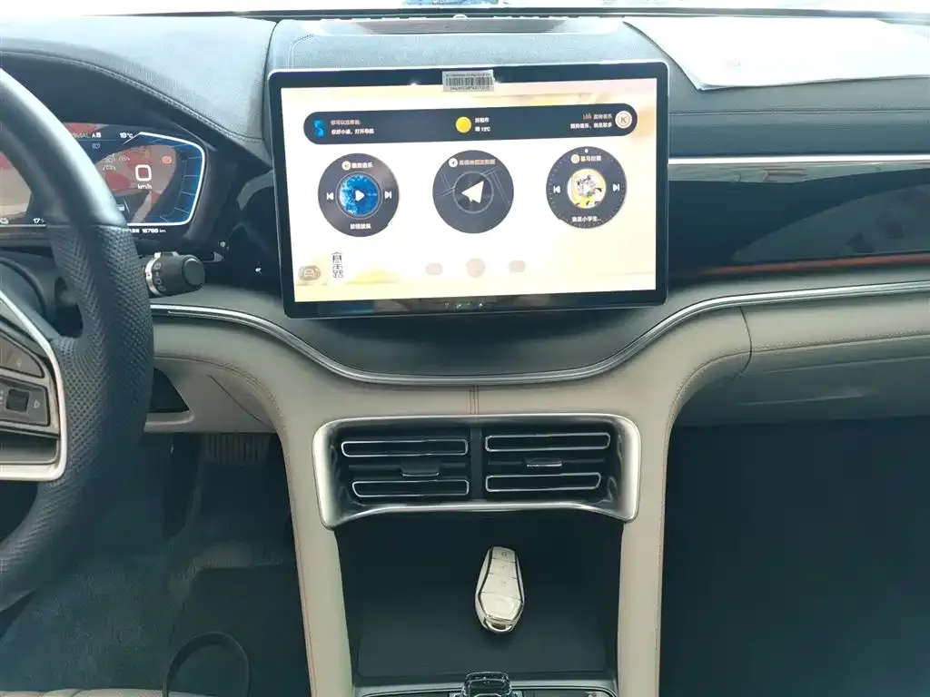 BYD PLUS New Energy 2024 из CN, фото 3
