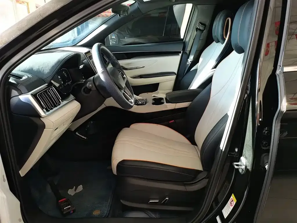 BYD PLUS New Energy 2024 из CN, фото 6