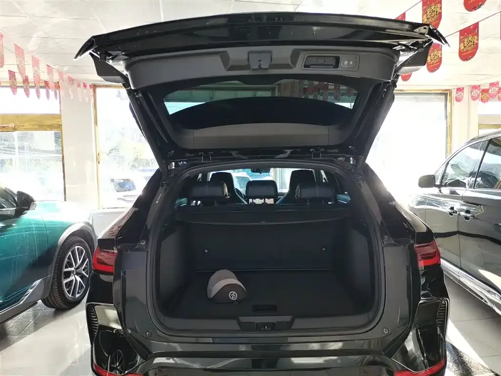 BYD PLUS New Energy 2024 из CN, фото 10