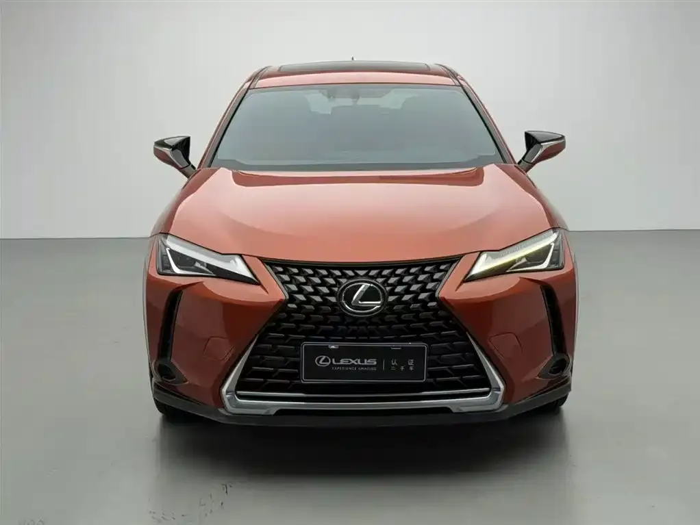 Lexus UX 2021 из CN, фото 2