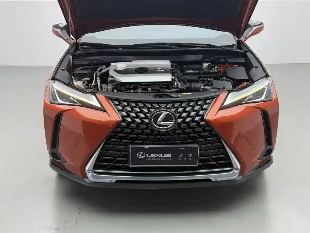 Lexus UX 2021 из CN, фото 3