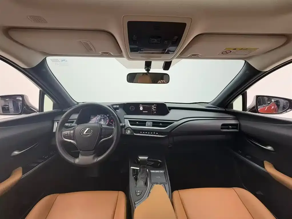 Lexus UX 2021 из CN, фото 4