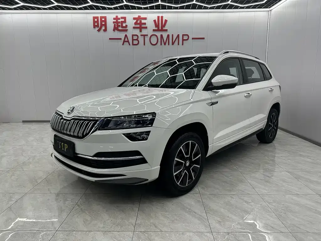 Skoda Karoq 2022 из CN, фото 1