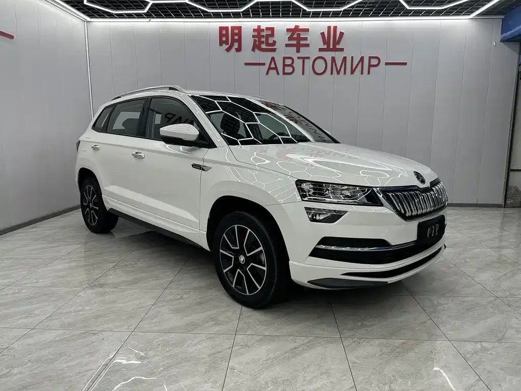 Skoda Karoq 2022 из CN, фото 8