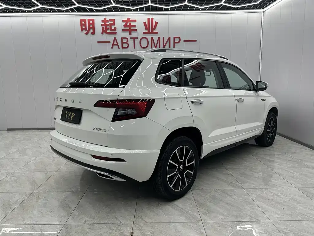 Skoda Karoq 2022 из CN, фото 6