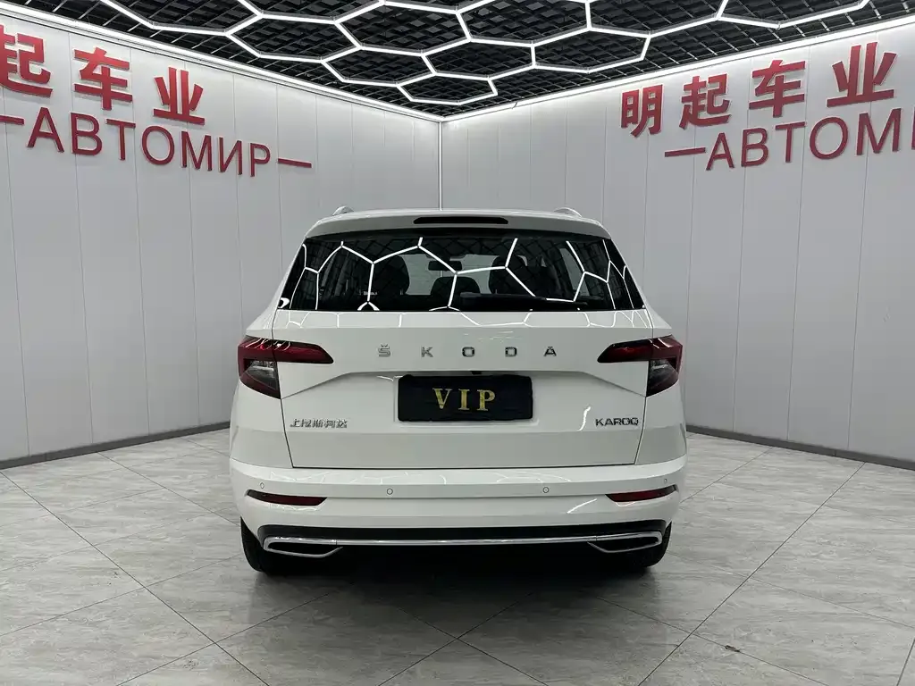 Skoda Karoq 2022 из CN, фото 3