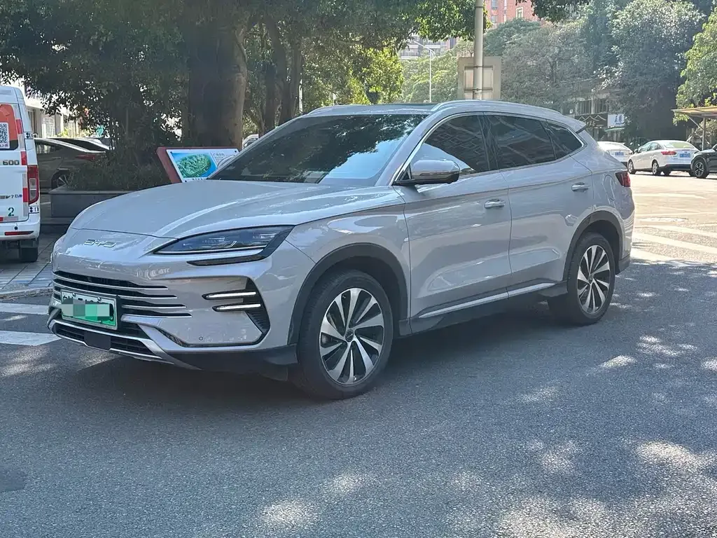 BYD PLUS New Energy 2024 из CN, фото 1