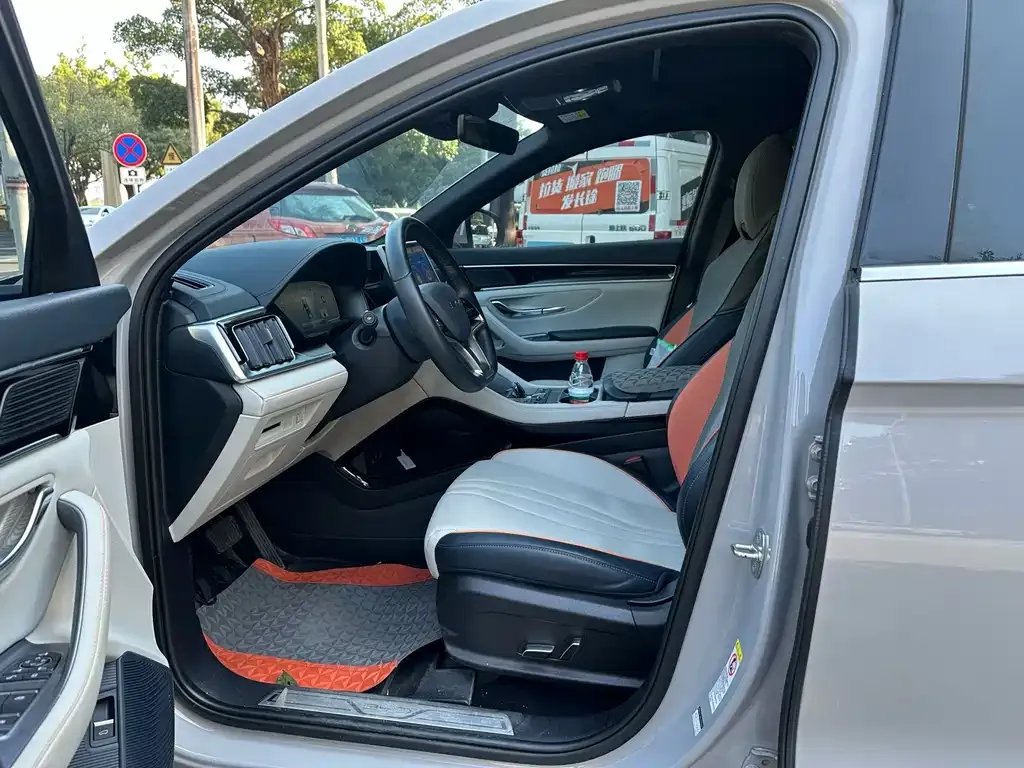 BYD PLUS New Energy 2024 из CN, фото 2