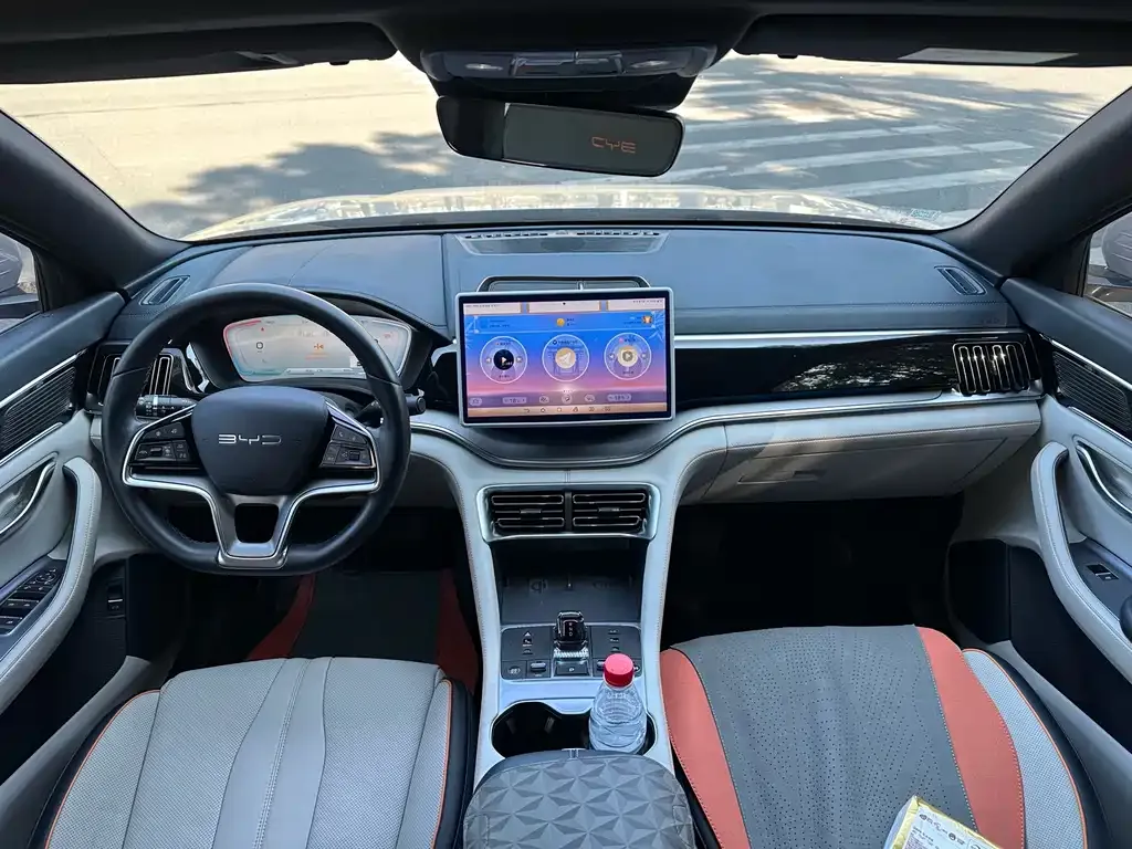 BYD PLUS New Energy 2024 из CN, фото 4