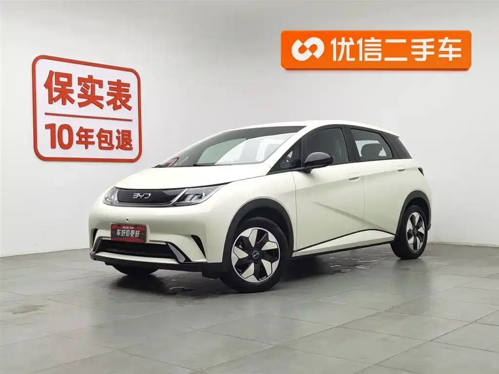 BYD Dolphin 2025 из CN, фото 1