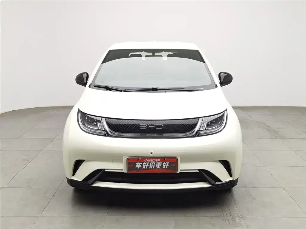 BYD Dolphin 2025 из CN, фото 2