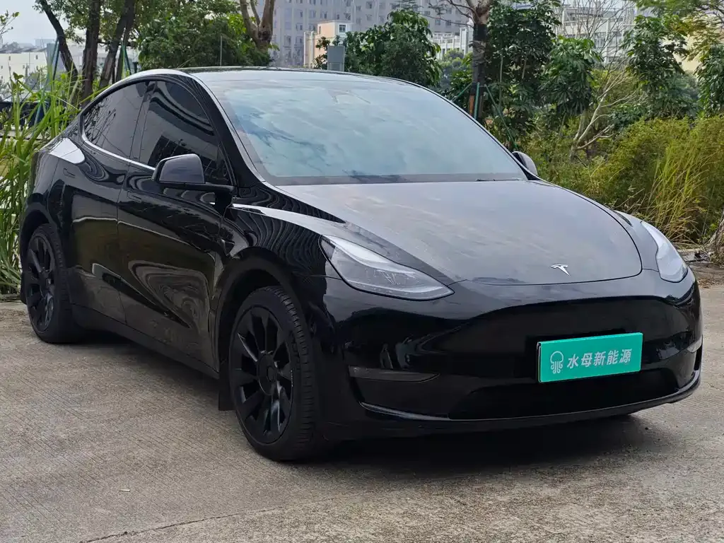 Tesla Model Y — фото 7