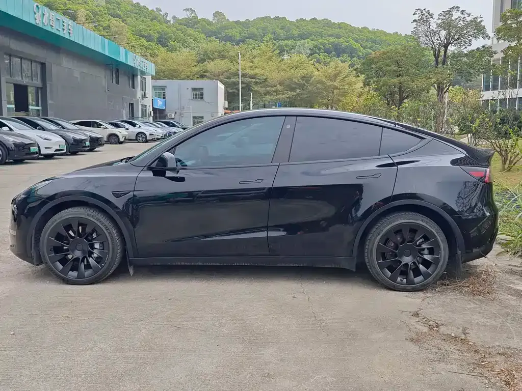 Tesla Model Y — фото 10