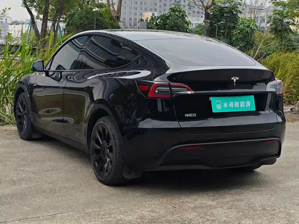 Tesla Model Y — фото 5