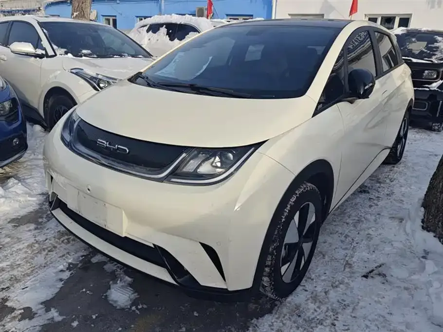 BYD Dolphin 2023 из CN, фото 1