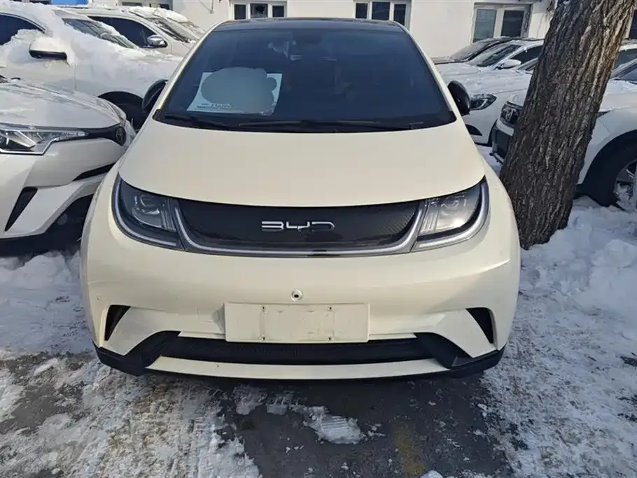 BYD Dolphin 2023 из CN, фото 2